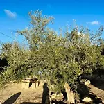 Casa El Rulon Σπίτι διακοπών Las Virtudes