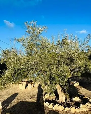 Casa El Rulon Tatil Evi Las Virtudes
