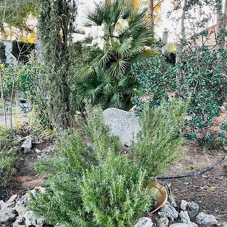 Casa El Rulon Ferienhaus Las Virtudes